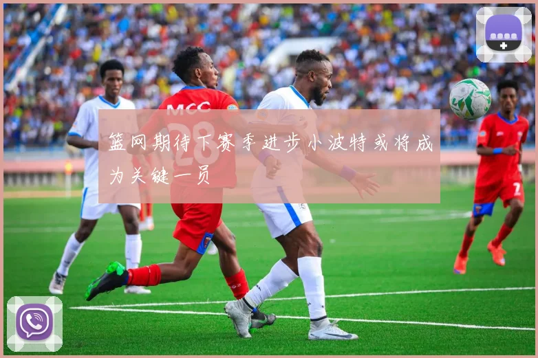 篮网期待下赛季进步小波特或将成为关键一员